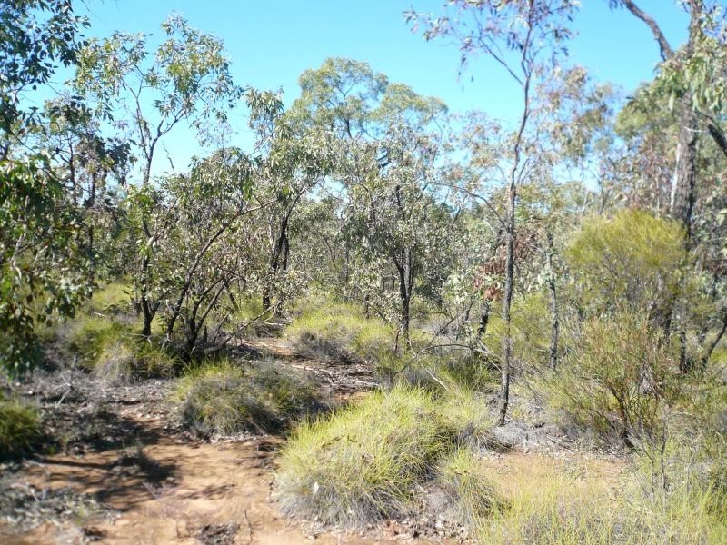 Lot 6/ Tara-Chinchilla Road, Tara QLD 4421