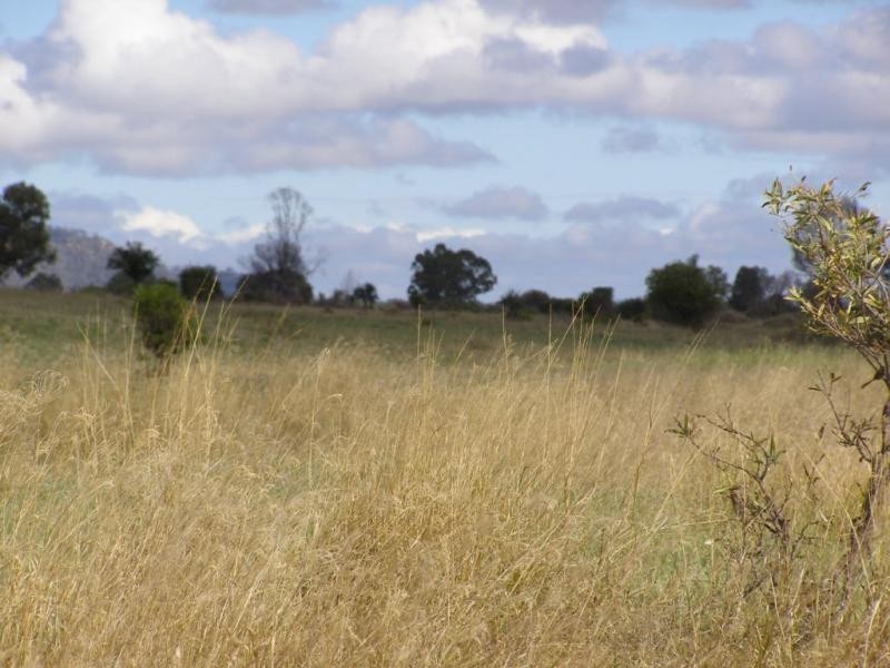 Wirranda, 1470 Rhyddings Road, Moura QLD 4718