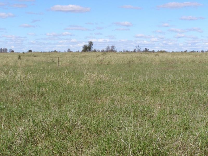 Wirranda, 1470 Rhyddings Road, Moura QLD 4718