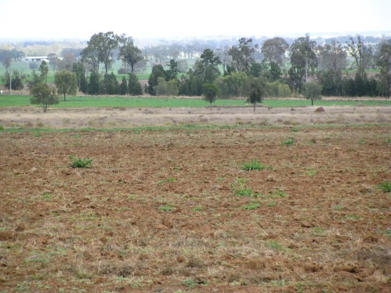 100 acres Bunya Mountains Road, Kaimkillenbun QLD 4406
