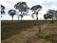 100 acres Bunya Mountains Road, Kaimkillenbun QLD 4406