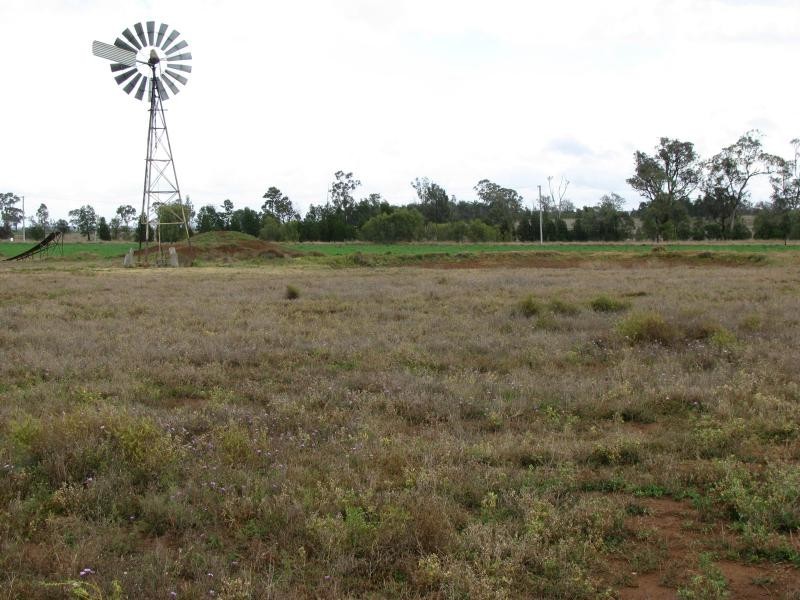 100 acres Bunya Mountains Road, Kaimkillenbun QLD 4406