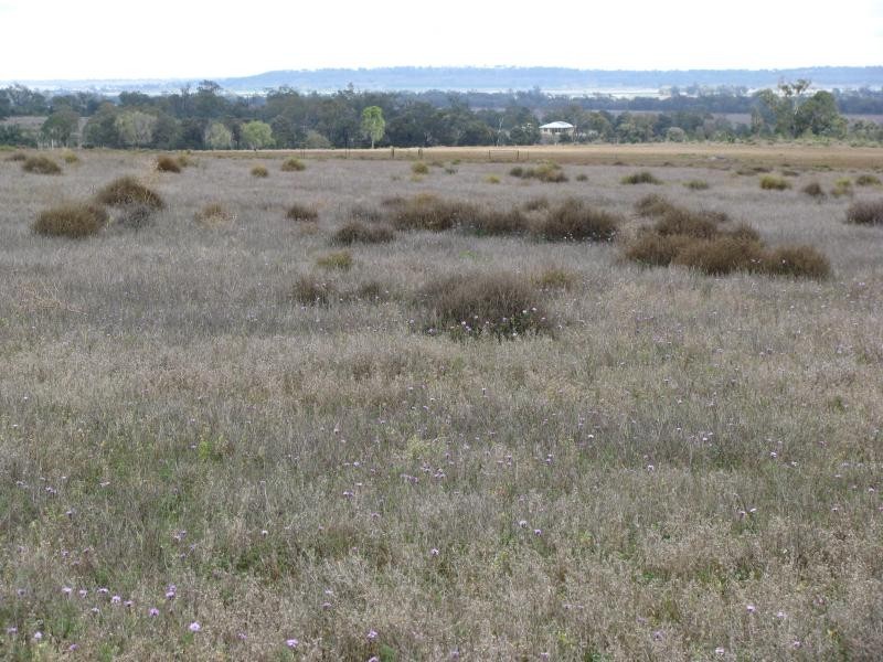 100 acres Bunya Mountains Road, Kaimkillenbun QLD 4406