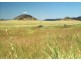 Injune QLD 4454