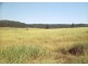 Injune QLD 4454