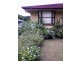 Kyogle NSW 2474