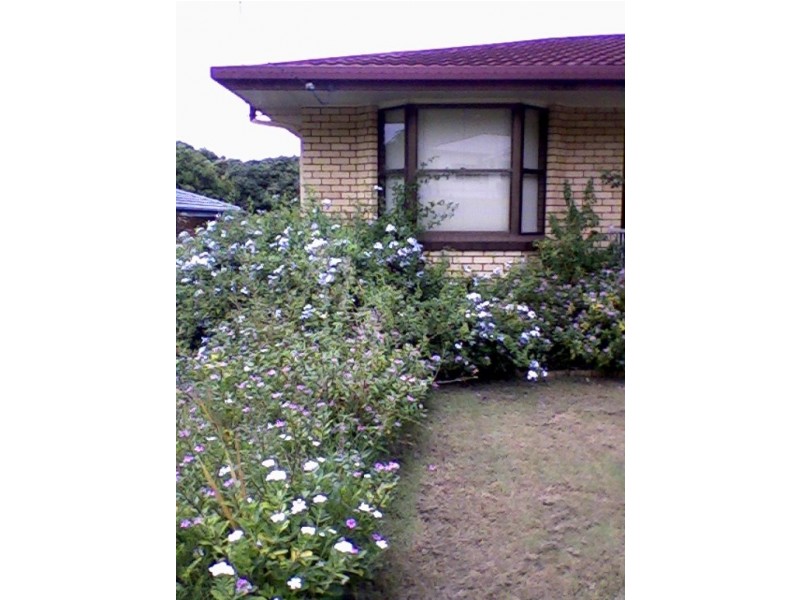 Kyogle NSW 2474
