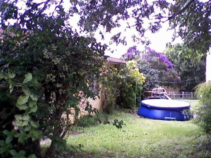 Kyogle NSW 2474