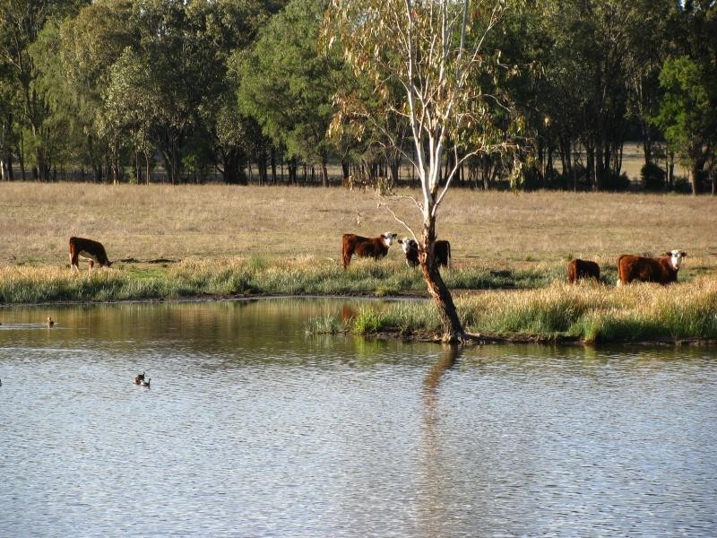 2169 acres north of, Drillham QLD 4424