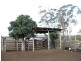 2169 acres north of, Drillham QLD 4424