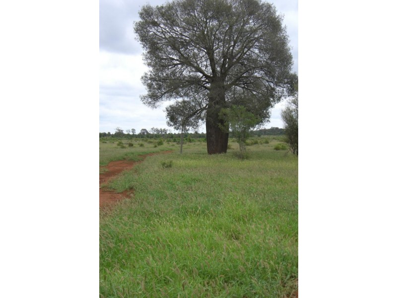 Surat QLD 4417