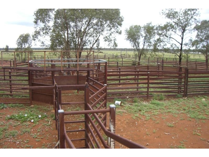 Surat QLD 4417