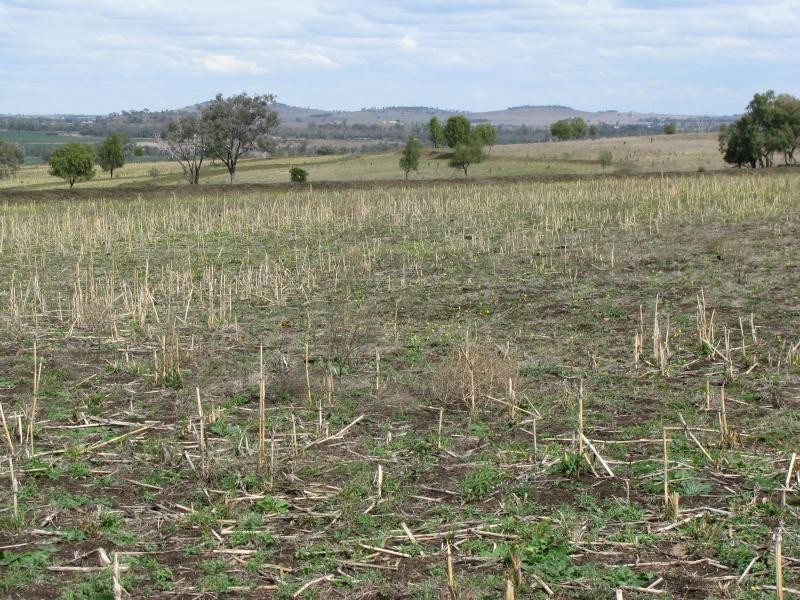 7 km North East of, Kaimkillenbun QLD 4406
