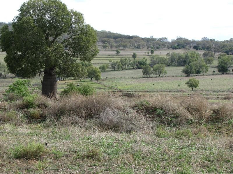 7 km North East of, Kaimkillenbun QLD 4406