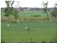 7 km North East of, Kaimkillenbun QLD 4406