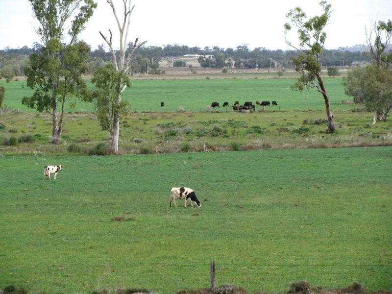 7 km North East of, Kaimkillenbun QLD 4406