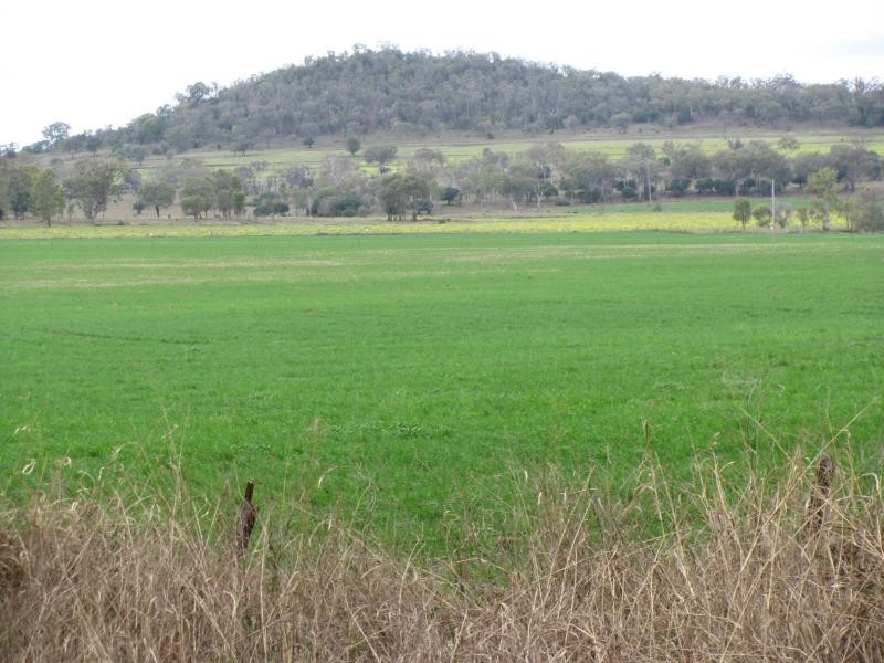 7 km North East of, Kaimkillenbun QLD 4406