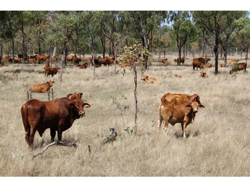 Home Hill QLD 4806
