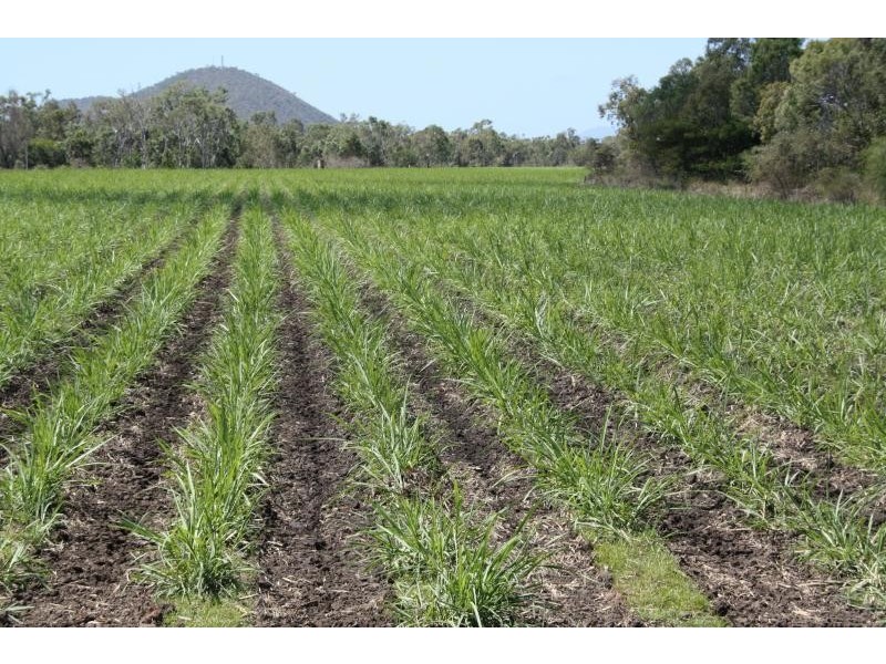 Home Hill QLD 4806