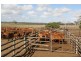 Home Hill QLD 4806