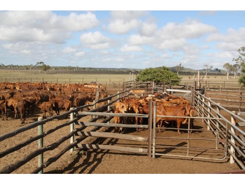 Home Hill QLD 4806