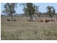 Home Hill QLD 4806