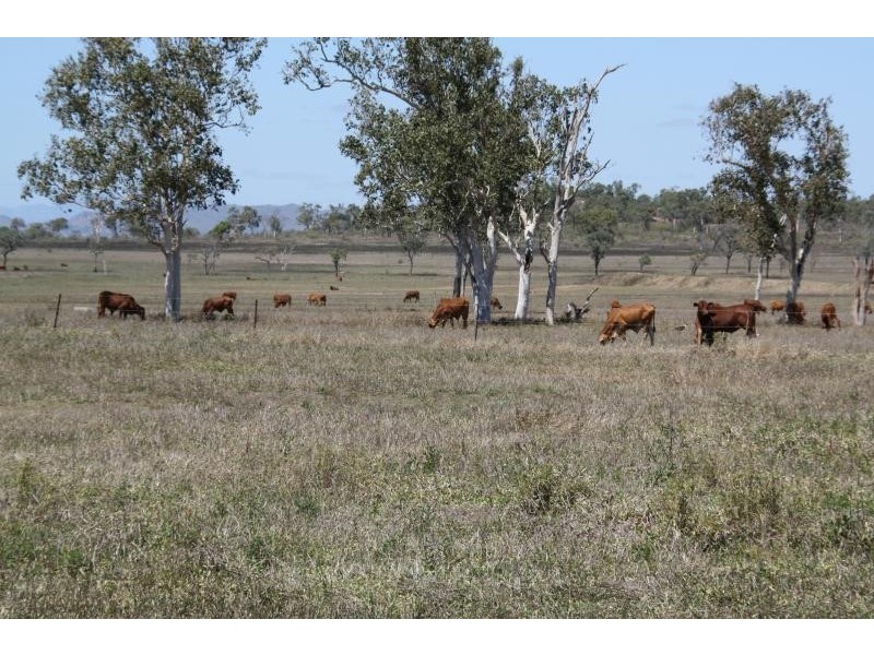 Home Hill QLD 4806