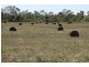 Home Hill QLD 4806