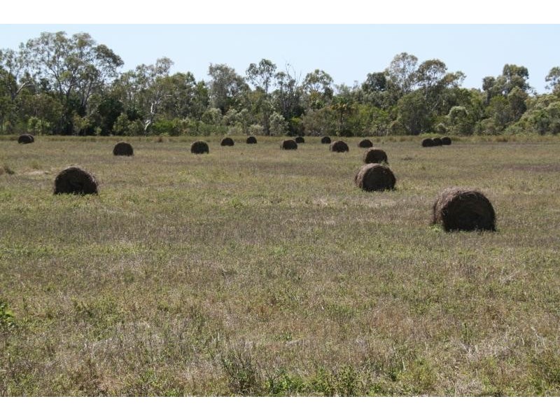 Home Hill QLD 4806