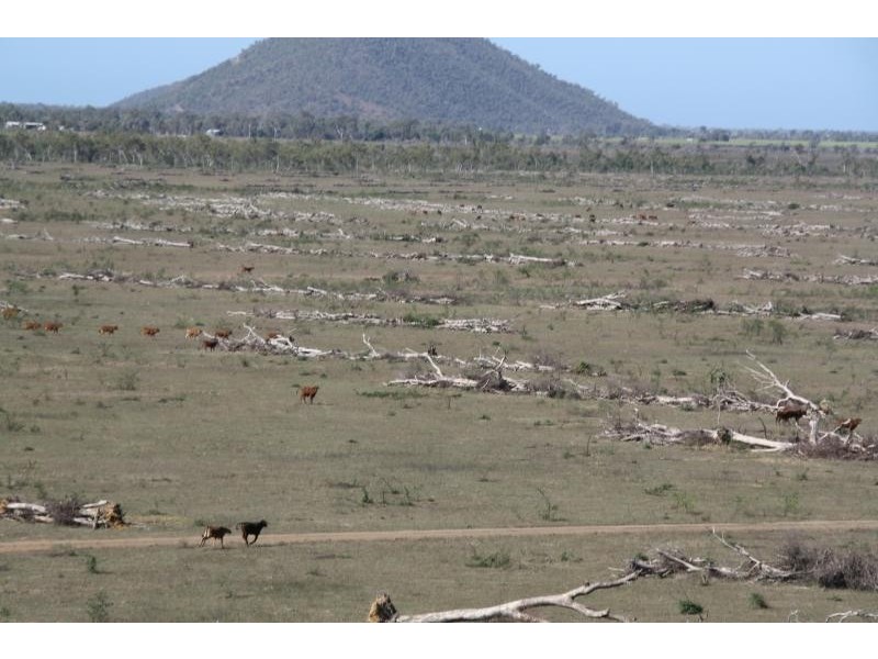 Home Hill QLD 4806