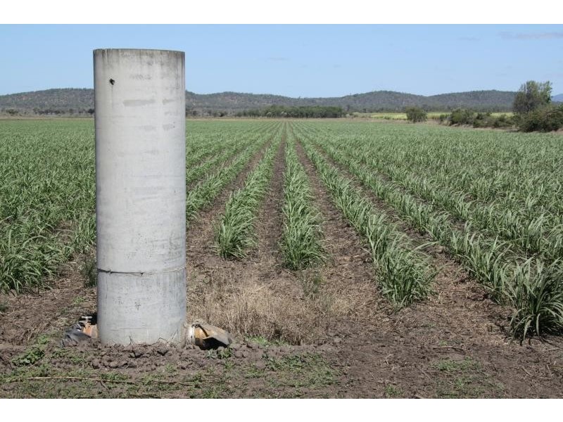 Home Hill QLD 4806