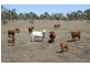 Home Hill QLD 4806