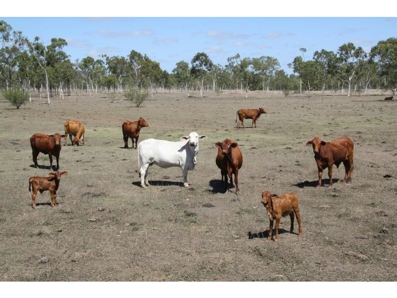 Home Hill QLD 4806