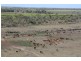 Home Hill QLD 4806