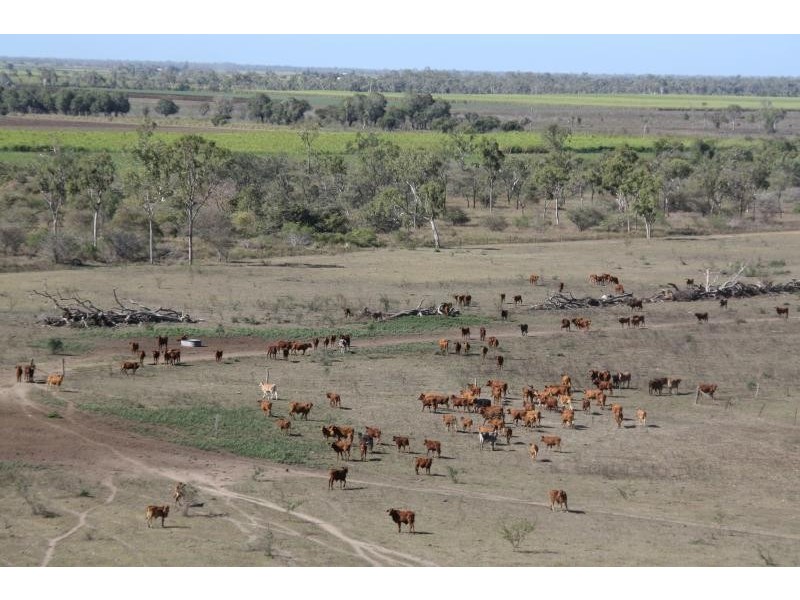 Home Hill QLD 4806
