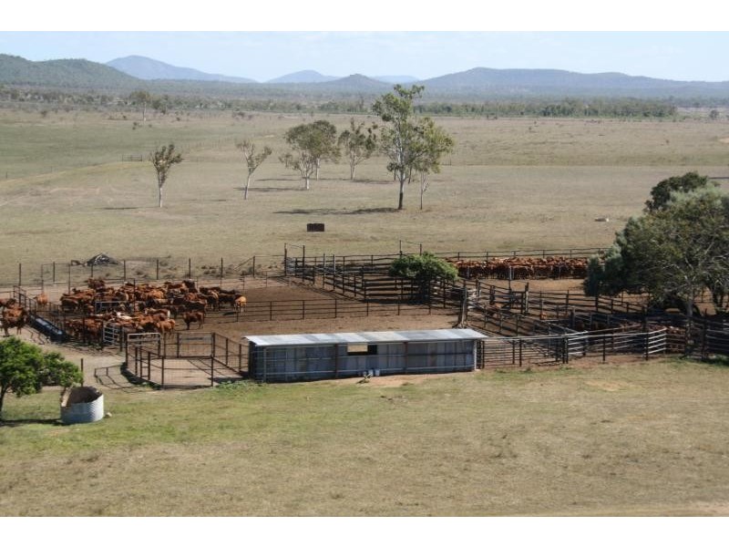 Home Hill QLD 4806