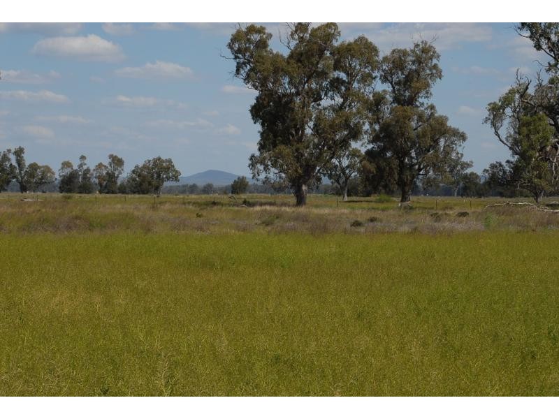 Texas QLD 4385