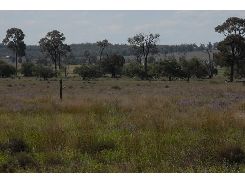 Texas QLD 4385