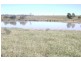 Willows QLD 4702