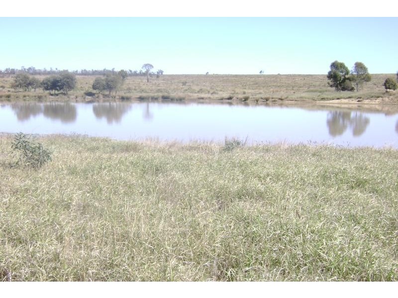Willows QLD 4702