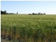 2711 Acres, Top Quality Country, Drillham QLD 4424