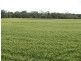 2711 Acres, Top Quality Country, Drillham QLD 4424