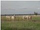 Talwood QLD 4496