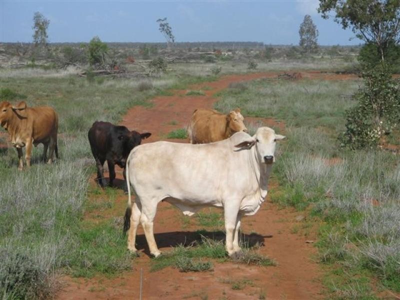 Talwood QLD 4496