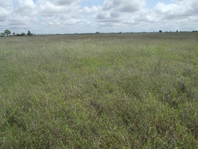 Talwood QLD 4496
