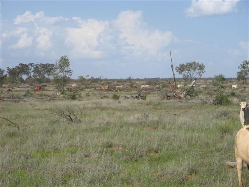 Talwood QLD 4496