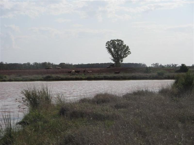 Talwood QLD 4496