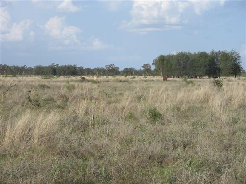 Talwood QLD 4496