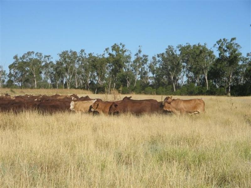 Talwood QLD 4496