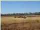 Talwood QLD 4496
